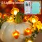 10FT Thanksgiving Acorn, 3D Pumpkin & Maple Leaf String Lights – 30 LED Battery-Operated Fall Garland with Remote, 12 Modes & Timer, Waterproof Autumn Lights for Home, Harvest, Halloween & Christmas Décor